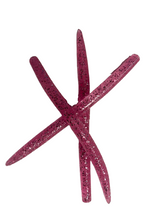 Load image into Gallery viewer, Ashworth Lures Pink Wonder Worm 
